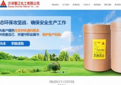 沙洋秦*化工有限公司建網(wǎng)站新一代自助建站、智能建站系統(tǒng)