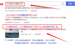 河北*新造紙(西院)有限公司網(wǎng)站建設(shè)創(chuàng)意網(wǎng)站效果展示