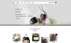 企業(yè)網(wǎng)站建設跨境電商中的技巧(上)