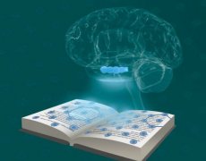 掌握網站SEO優(yōu)化更新，解鎖流量密碼