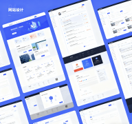 征服搜索引擎:網(wǎng)絡SEO優(yōu)化終極指南